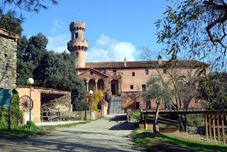 trail sant esteve montseny running cxm fedme trailrunning